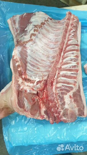 Мясо свинина