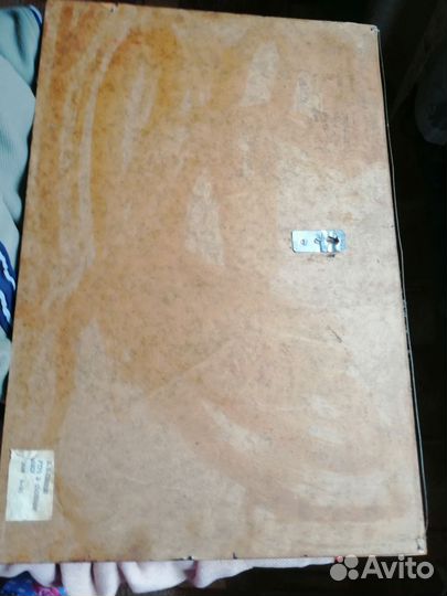 Утро в сосновом лесу картина