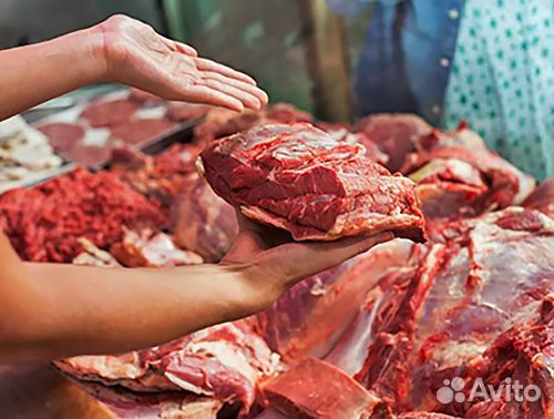 Мясо домашнее говядина