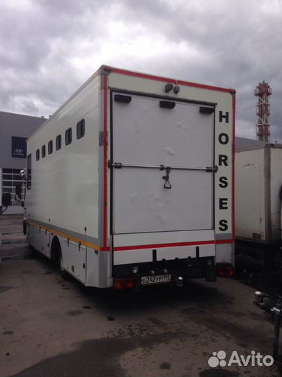 Конеперевозки. Перевозка лошадей до 8 голов (6+2)