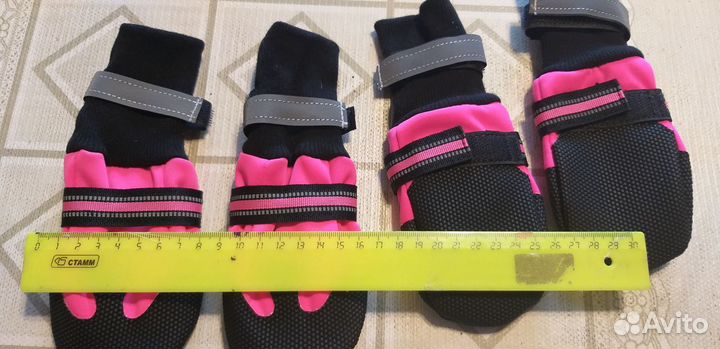 Лабутены для собаки