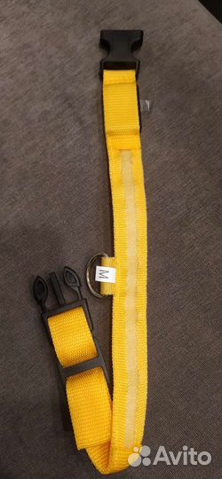 Новый светящийся ошейник