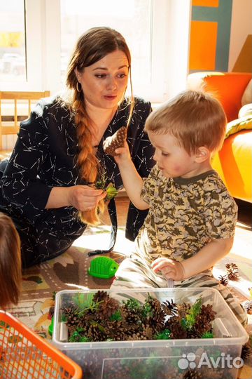 Няня, Экстренная няня, Ночная няня, Педагог