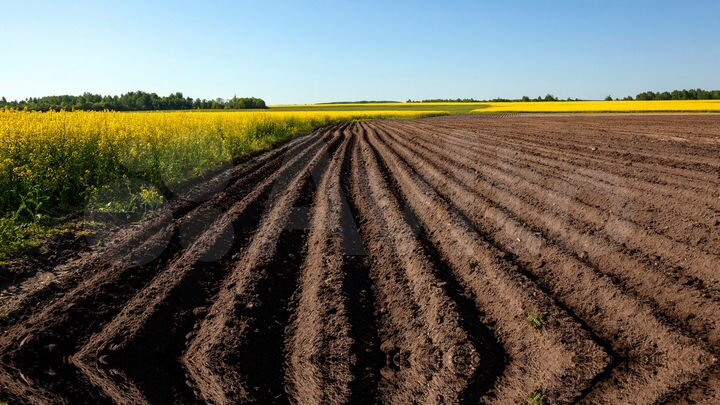 Участок 23 га (СНТ, ДНП)