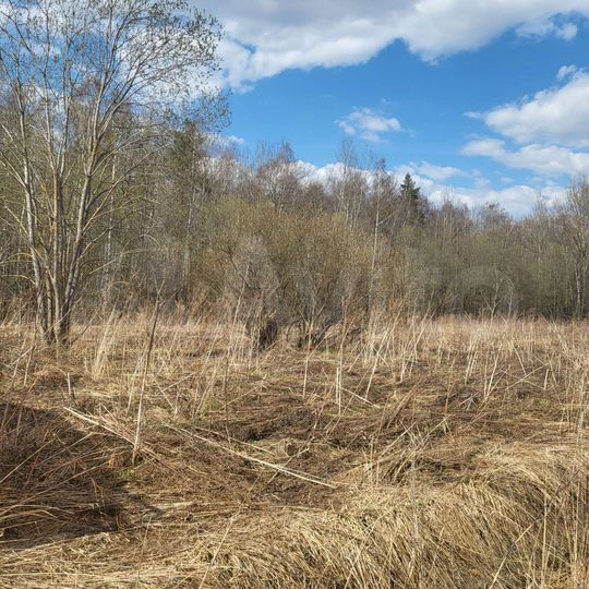 Участок 12 сот. (СНТ, ДНП)