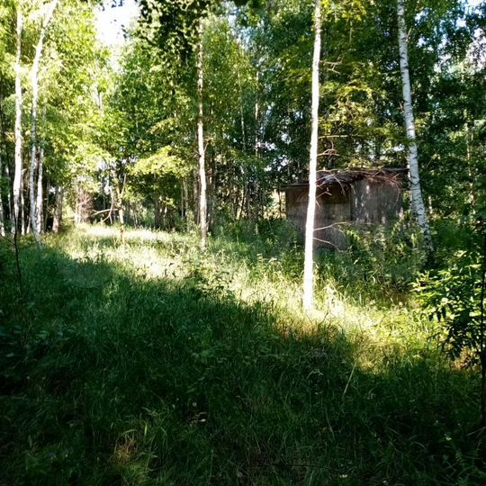 Участок 39 сот. (СНТ, ДНП)