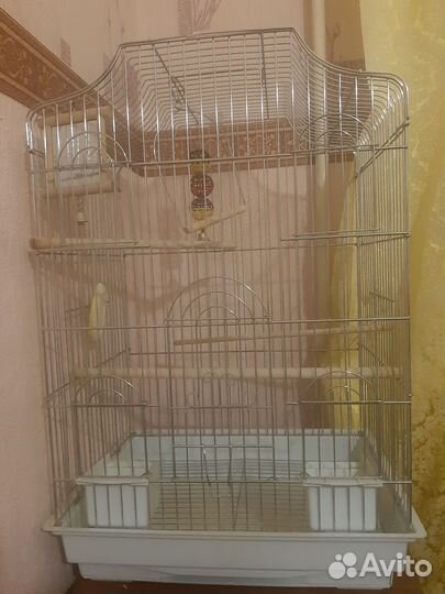 Клетка для попугая