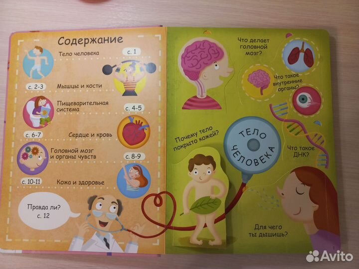 Моё тело. Робинс