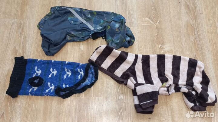 Одежда для собак