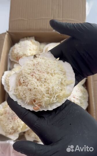 Устрицы, Гребешки, Мидии