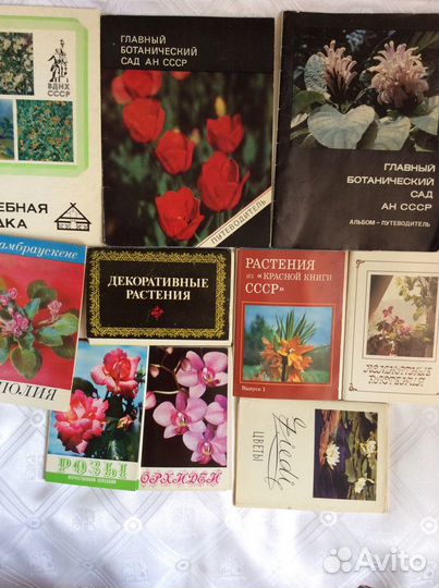 Комплекты открыток. Путеводители. Сенполия книга