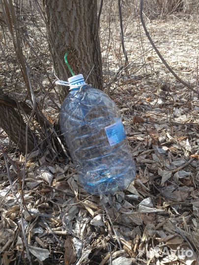 Сок березовый