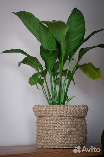 Кашпо из джута