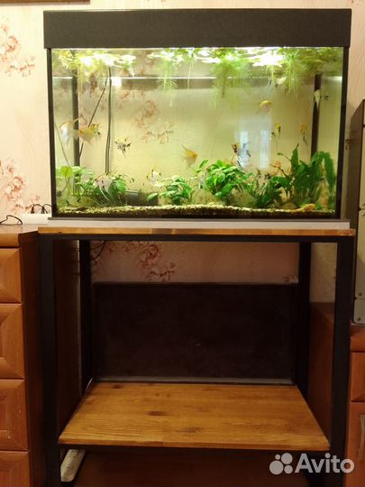 Аквариум на 50л. без крышки, стеллаж под аквариумы