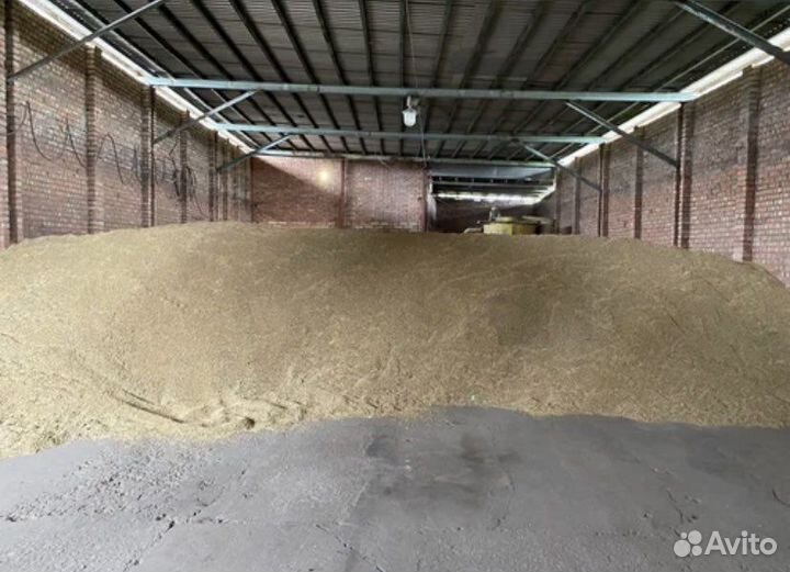 Пшеница, ячмень, горох