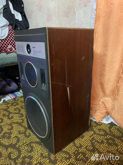 Колонки Вега 25ас 109-2