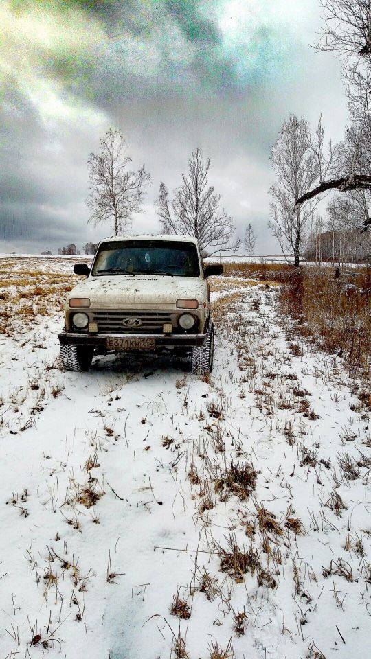 ВАЗ (LADA) 4x4 (Нива): фото владельца
