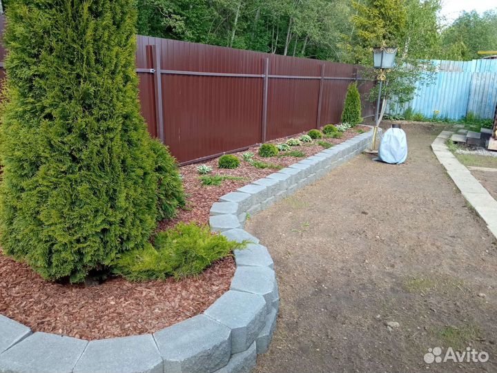 Садовники. Обрезка, скарификация