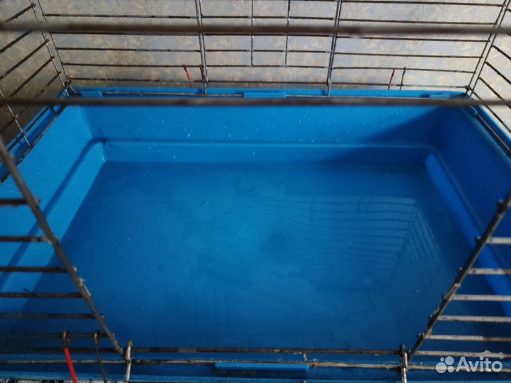 Клетка для животных