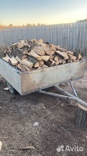 Дрова колотые сухие карагач