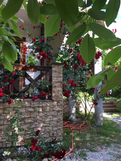 Дом 531 м² на участке 7,3 сот.