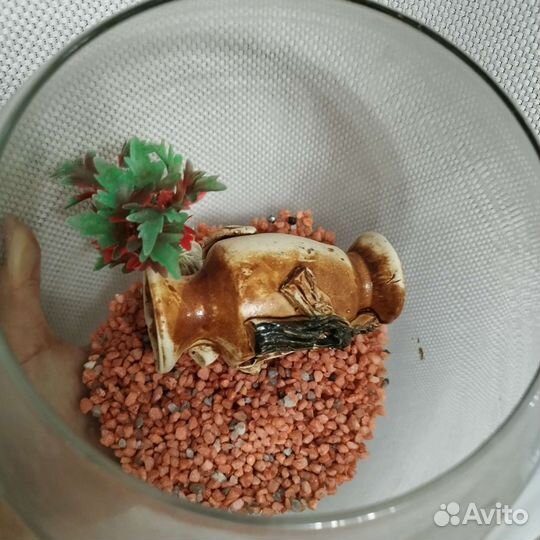 Аквариум круглый бокал