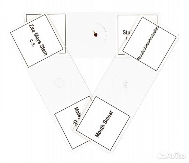 Набор микропрепаратов Bresser 10 шт., в кейсе