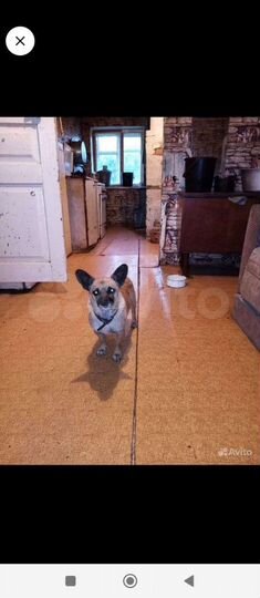 Дом 60 м² на участке 27 сот.