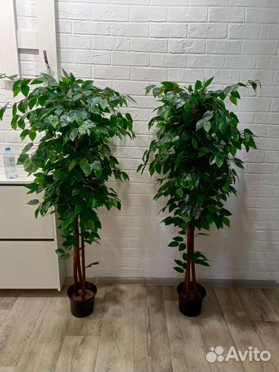 Искусственное дерево. Фикус Бенжамина