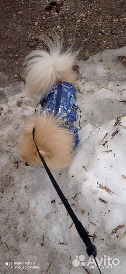 Шпиц для вязки