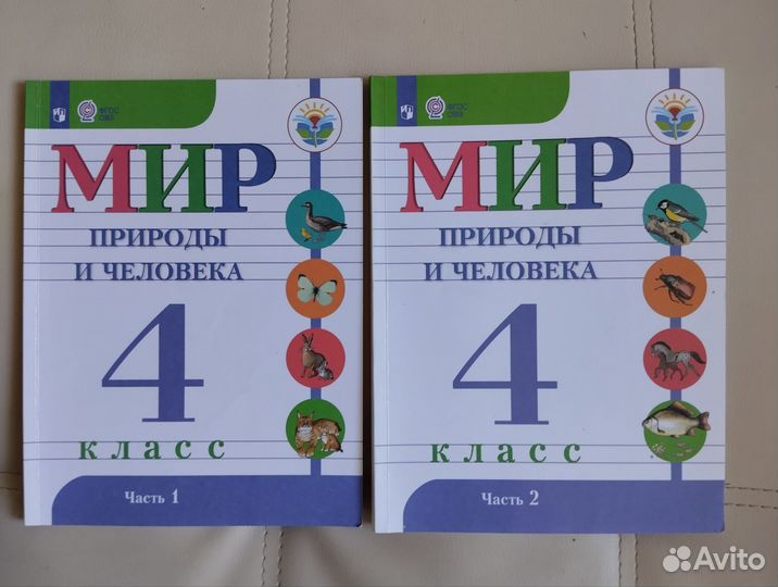 Мир природы и человека 4 класс