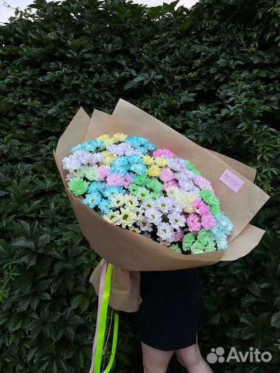 Ромашки. Хризантема ромашковидная