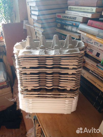 Ячейки для яиц