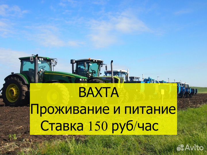 Упаковщики вахта 18+ / Индюшкин двор