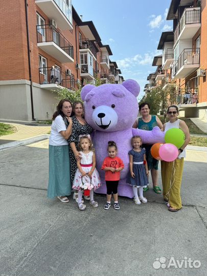 Поздравление зайка /тедди/ белка /аниматор