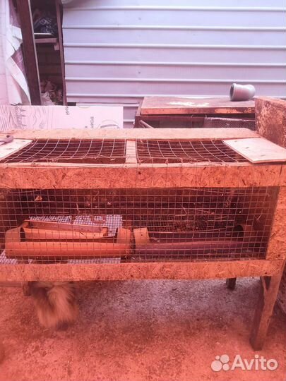 Клетка для кролика