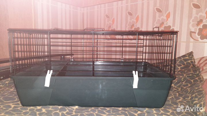 Для грызунов и птиц размер разный центр