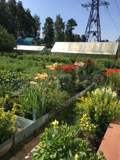 Дача 30 м² на участке 6 сот.