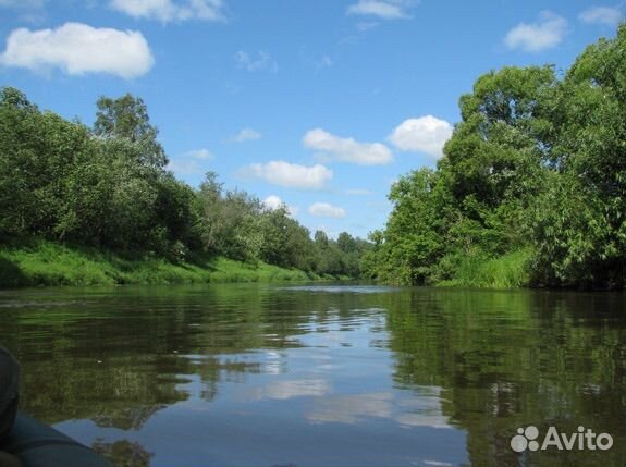 Участок 5,91га под с/х производство, ферму, бизнес