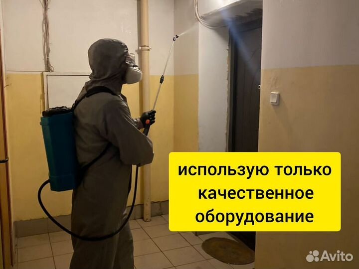 Уничтожение клопов, тараканов, грызунов