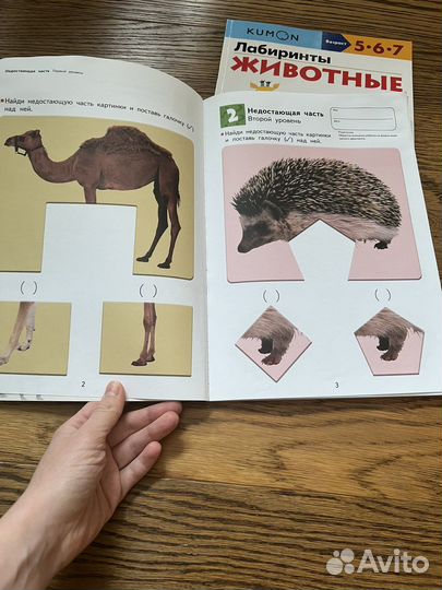 Книги kumon и лабиринт. Цена за все