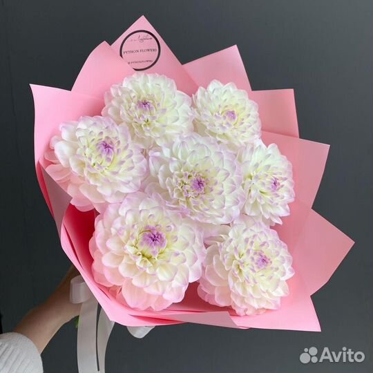 Букет георгины