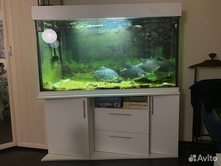 Аквариум с рыбками и тумбой