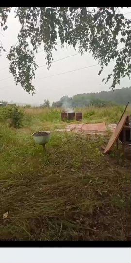 Участок 12 сот. (СНТ, ДНП)