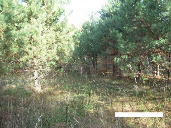 Участок 10 га (СНТ, ДНП)