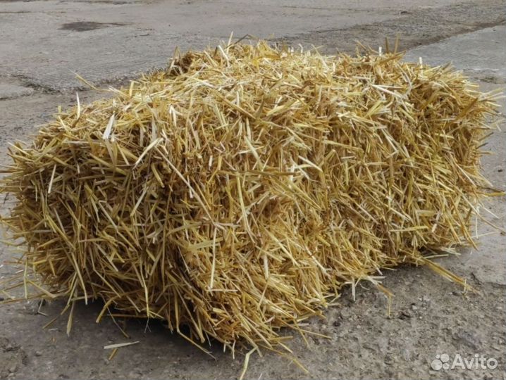 Солома в тюках с доставкой