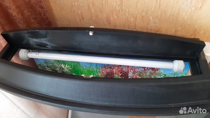 Аквариум для рыб