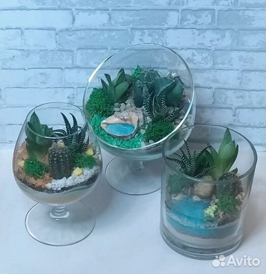Флорариум - мини-садик