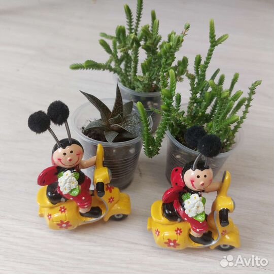 Декор для дома, цветов и цветочных горшков