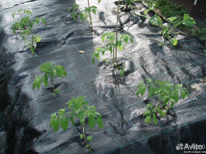 Пленка черная шир. 3м. 100 мкр